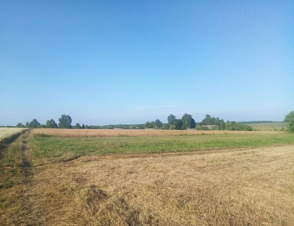 Вот такое Небо в деревне, где у меня домик ... Ну, если честно, то я между делом еще статьи писал для сайта :-)