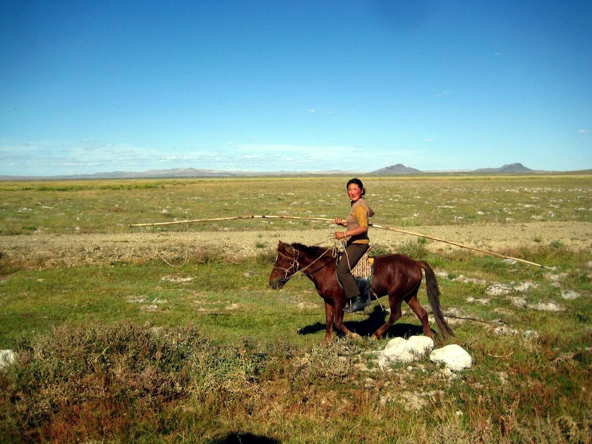 монгольская девушка на боевой мохнатой лошадке - на них монгольские воины должны были проскакать тысячи километров