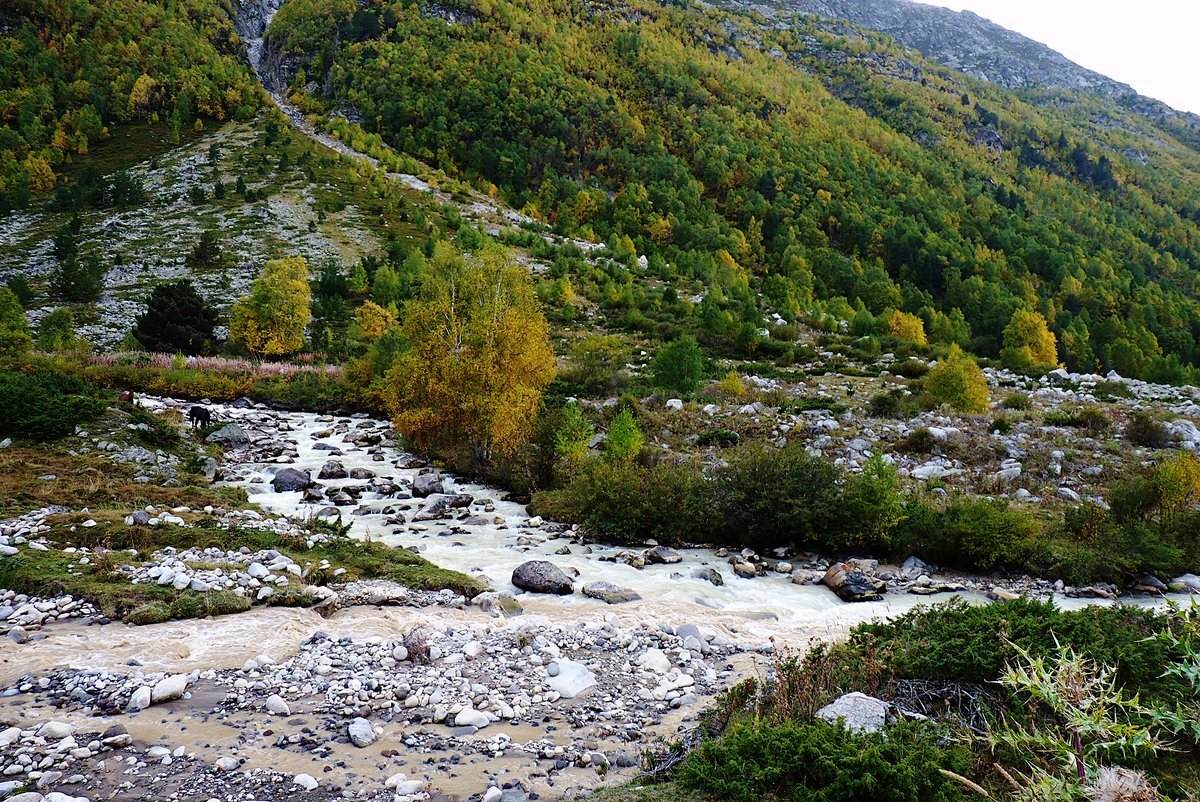 кубань впадает в море