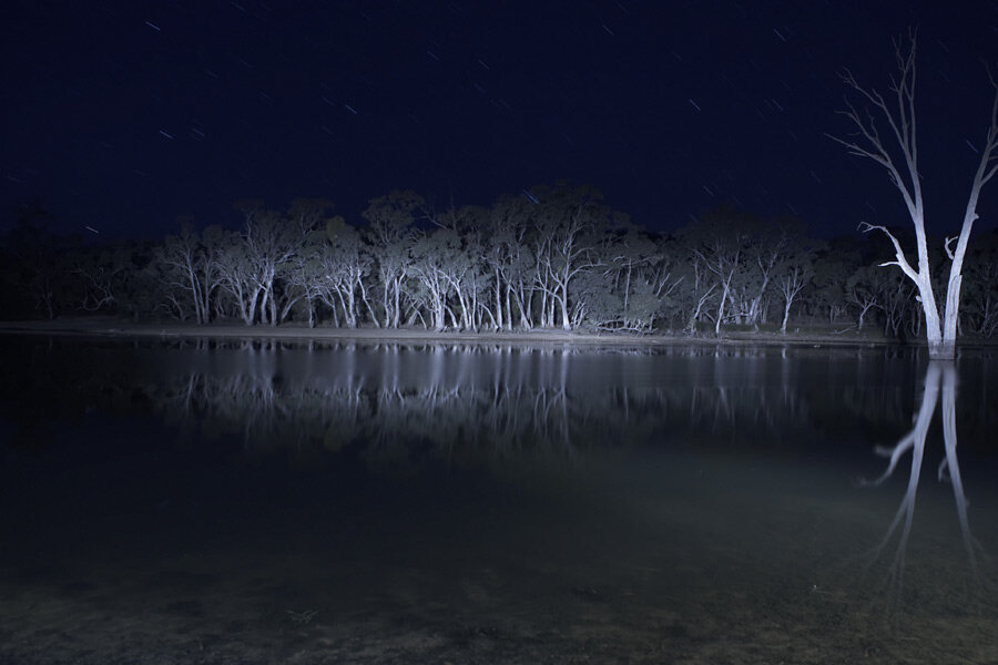 shot from "Lake Mungo"/2008/Joel Anderson/film.ru