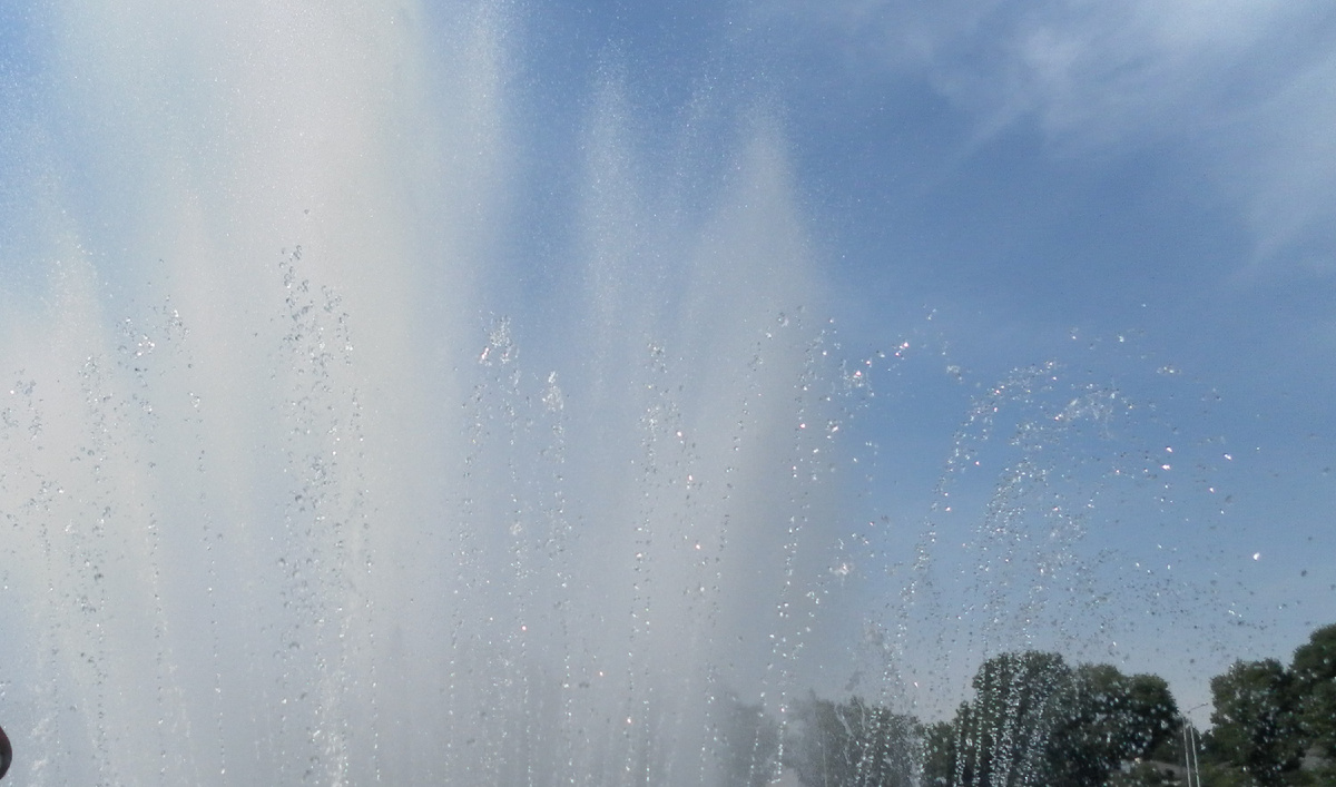 "Облетев несколько раз вокруг Земли, дерево попало в затягивающую воронку"...