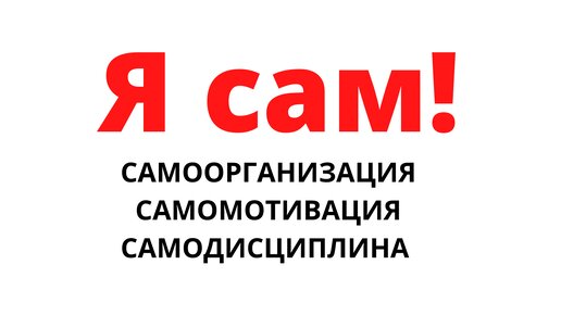 Самоорганизация. Самомотивация. Самодисциплина. Как управлять своей энергией, временем, ресурсами