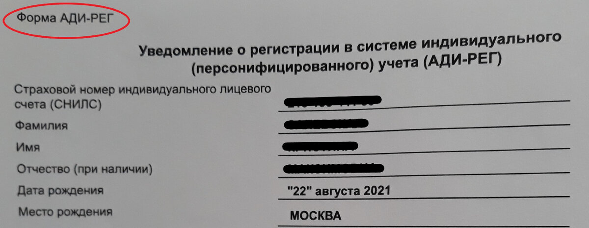 Снилс ади рег. Форма Ади-рег. Ади рег СНИЛС. Уведомление Ади-рег. Ади-рег что это.