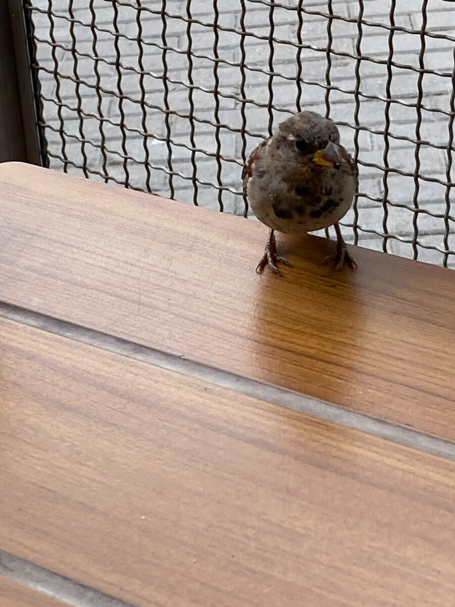 Мы сним говорили за жизнь...