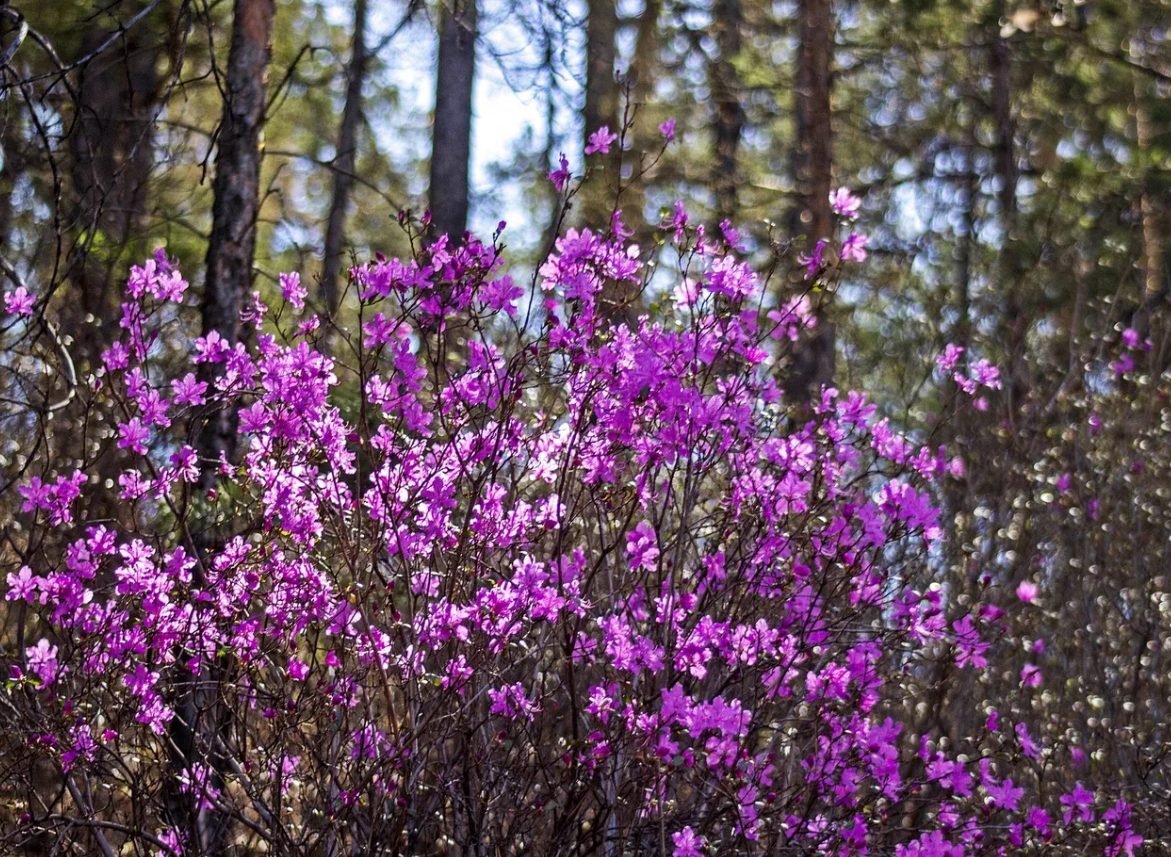 Фото из личного архива.