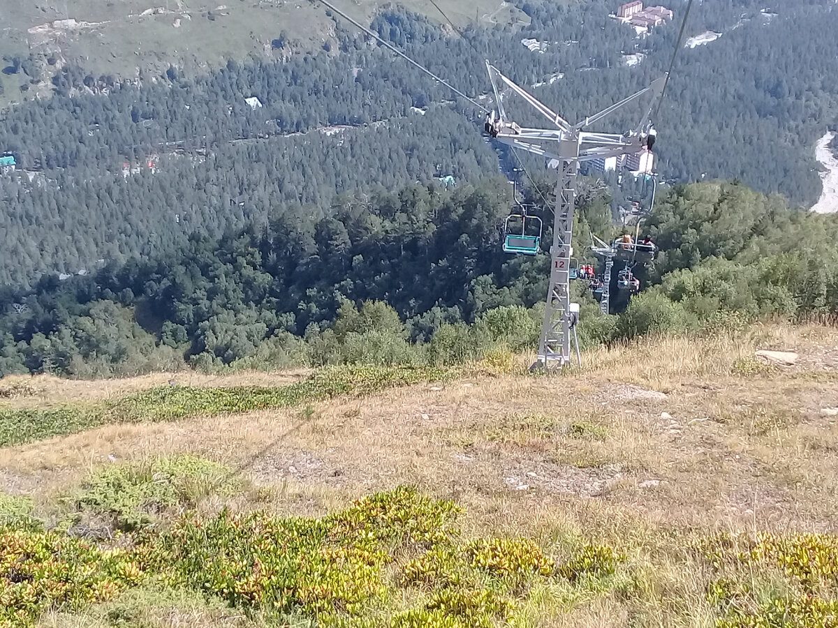 ...продолжается на альпийских лугах...