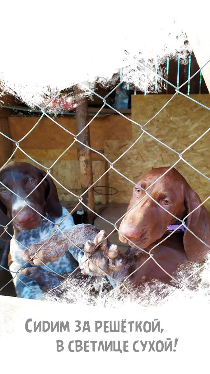 Наше жилище