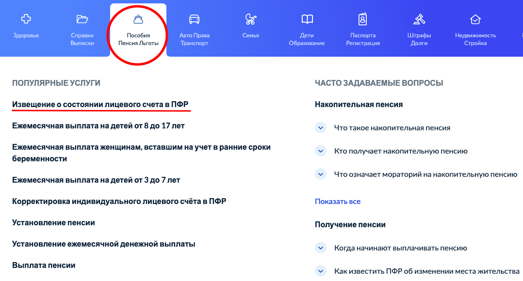 Скриншот сайта Госуслуги
