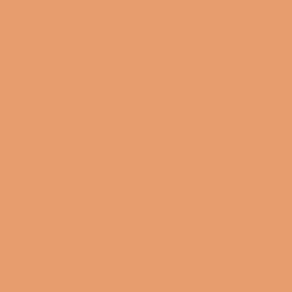 SW 6633 Inventive Orange

