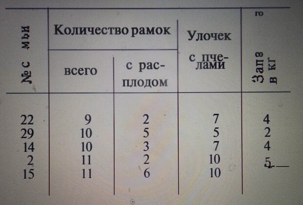 Аллоды Онлайн | ВКонтакте