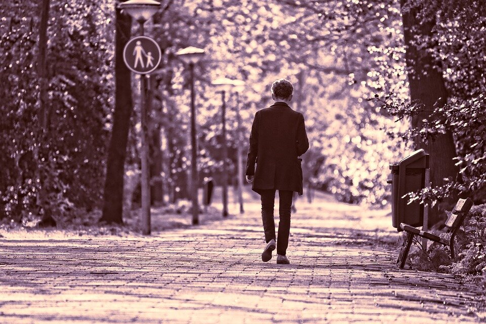 Фото: Pixabay