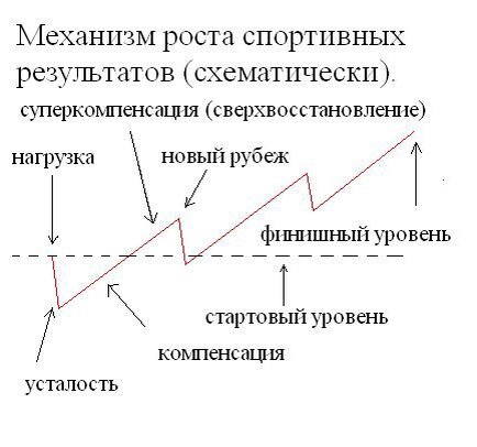 Механизмы роста