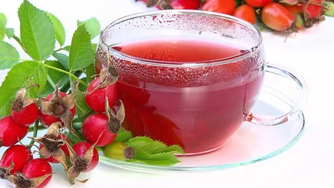 Шиповник.