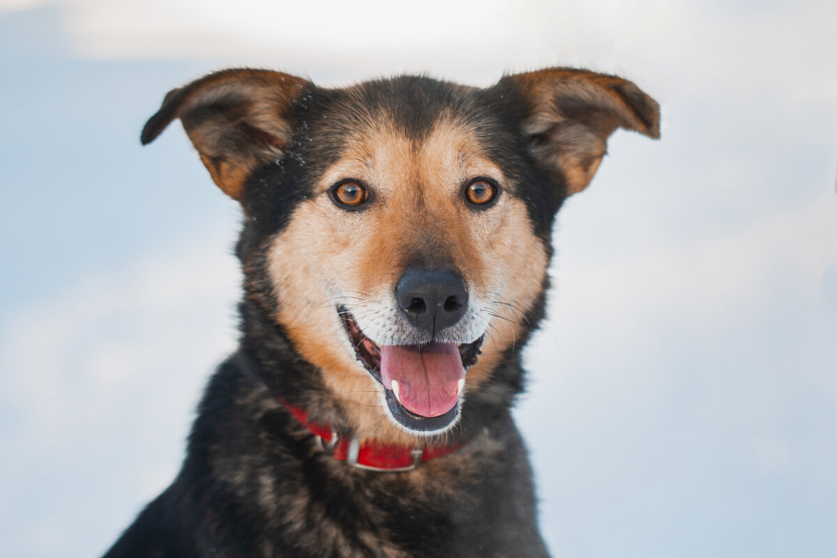 Мы действительно сами выдумываем трагедию, чтобы как-то заполнить пустую жизнь.