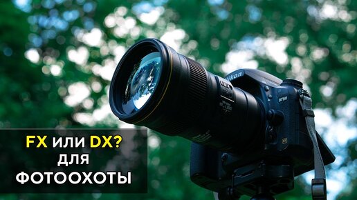 Nikon D5500 VS Nikon D750 для Фото охоты 300мм F4 FL