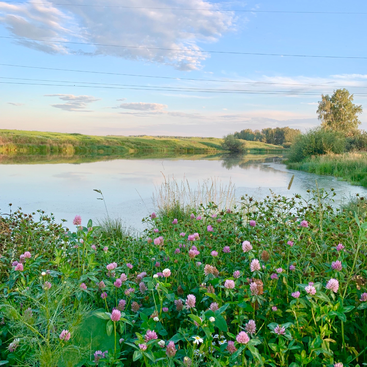 Деревенский пруд, купание и рыбалка. 
