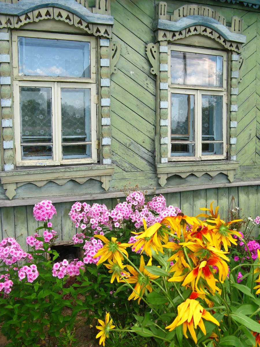 космея бабушкин палисадник. деревенские цветы. деревенские цветы. цветы перед домом в деревне. лето в деревне цветы.
