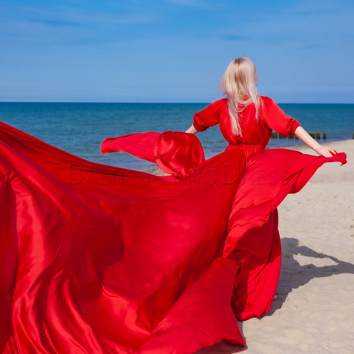 Шикарное Алое  