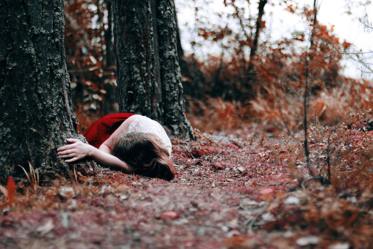 Фото из интернета.