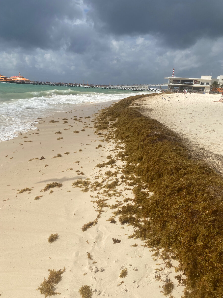 Обычно так пляж выглядит утром