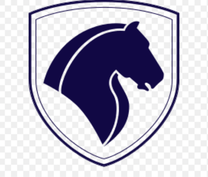 Что за автомобили выпускает Иран и могут ли их начать ввозить в Россию