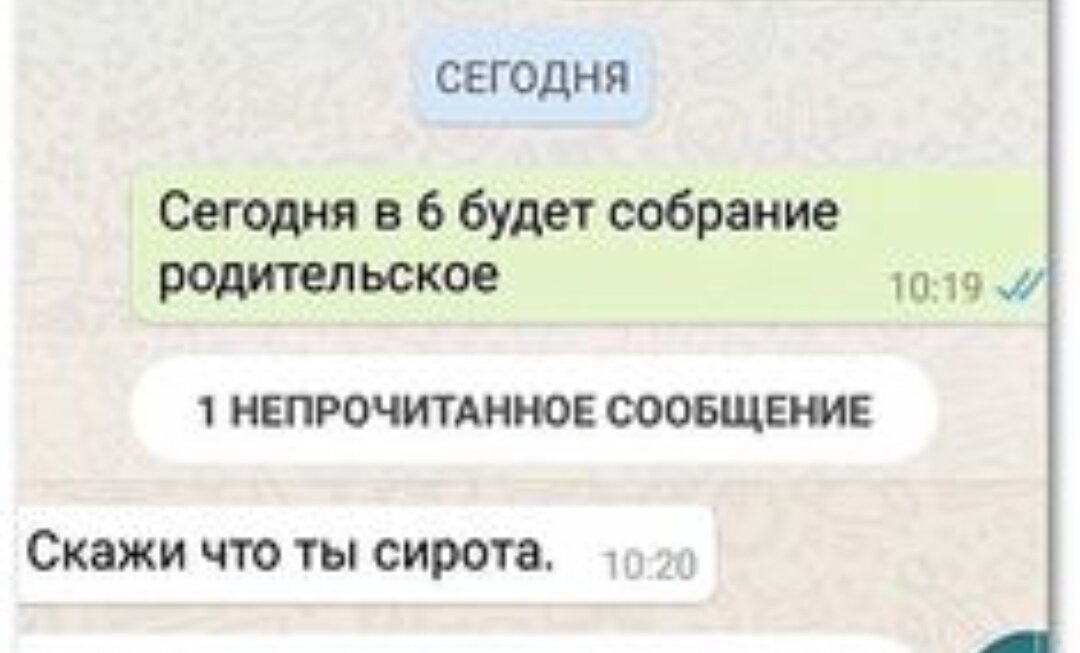 Фото из интернета 