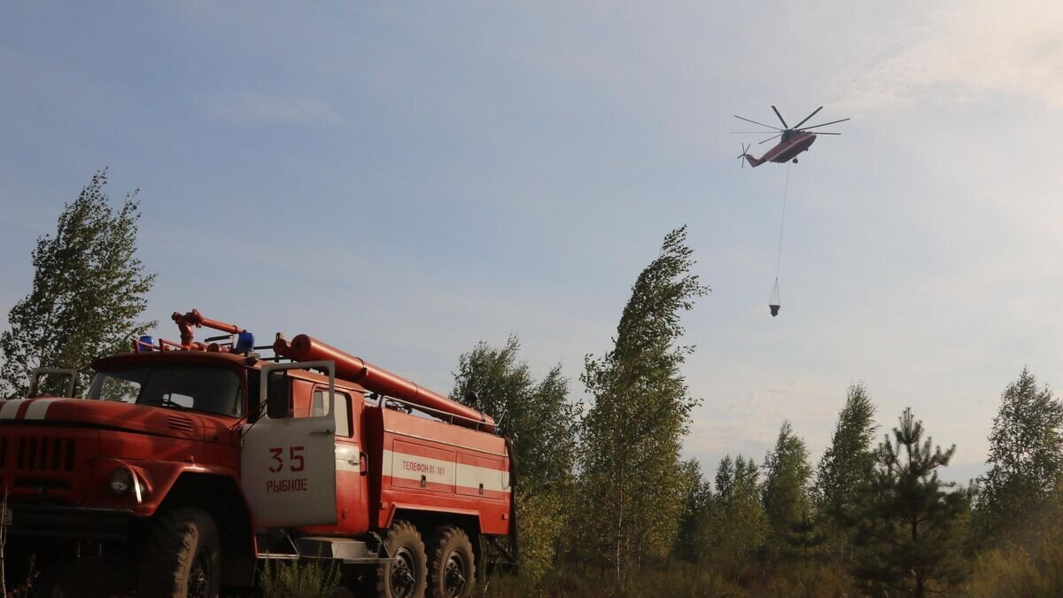    Тушение природных пожаров в Рязанской области© Фото : ГУ МЧС России по Рязанской области