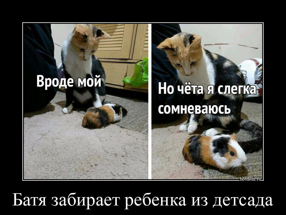 Яндекс.Картинки