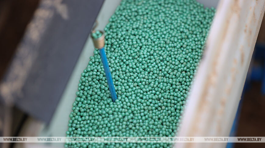    Семена сахарной свеклы. Фото из архива