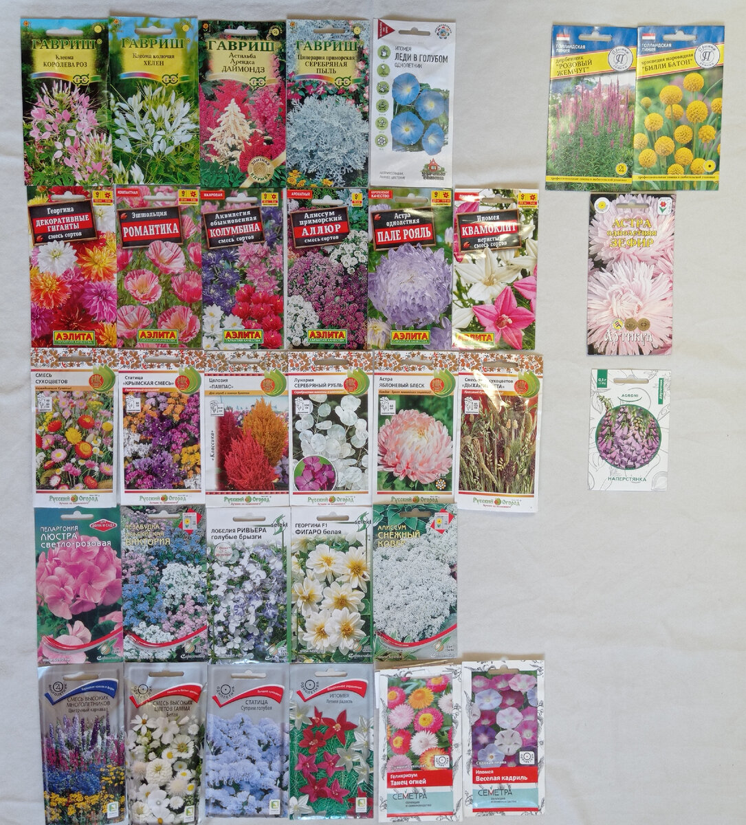 Краспедия вообще не взошла. Астильба вышла и сдохла. Ипомея и статица голубые под? Астры очень мелкие вышли. 