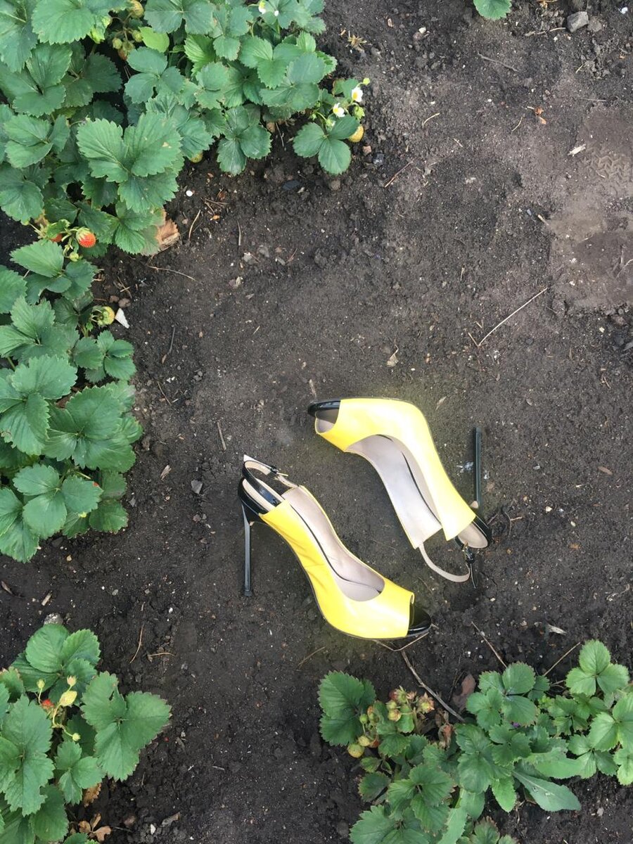 Моя реальность