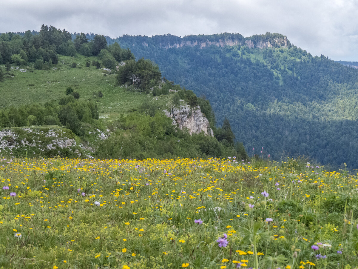 Плато Лаго Наки Альпийские Луга