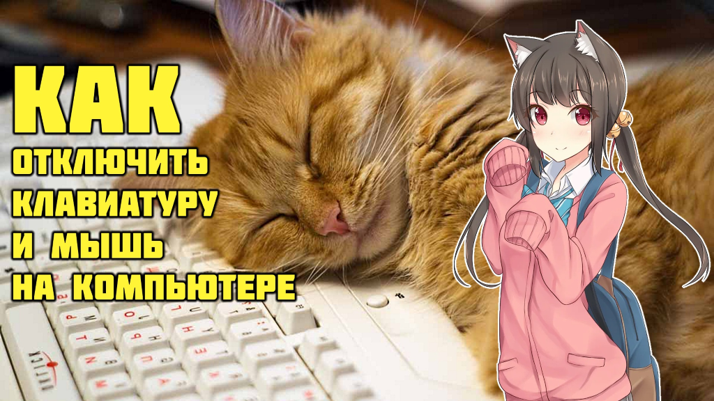 Котейка оценит... Ваш питомец будет доволен.