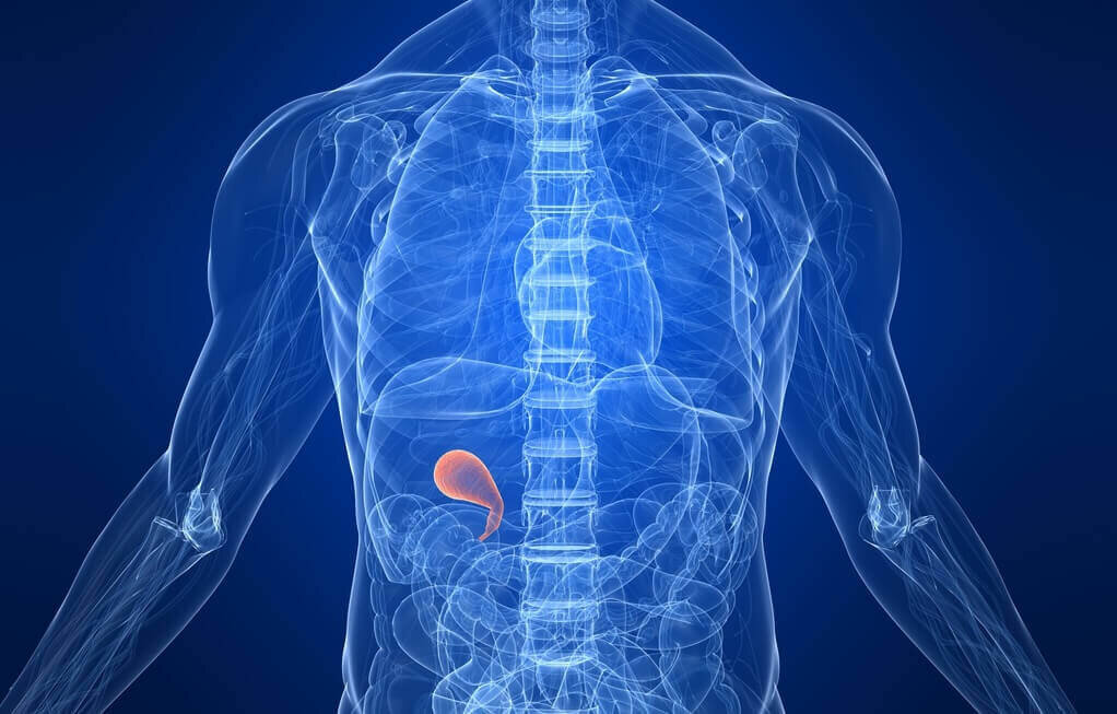 Изображение взято из открытого источника.