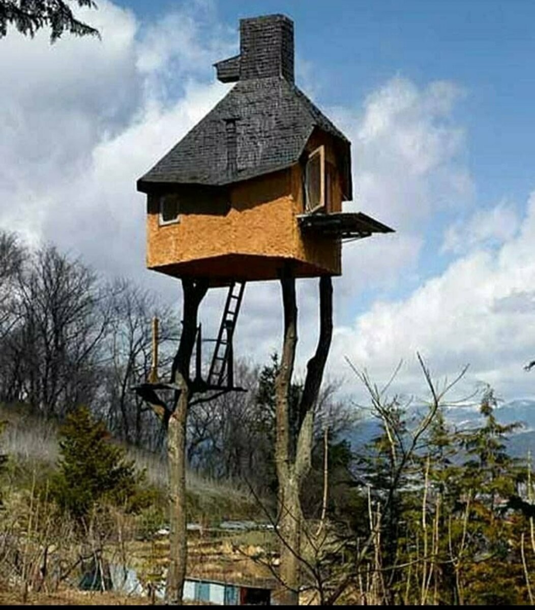 Тут кто нибудь есть?