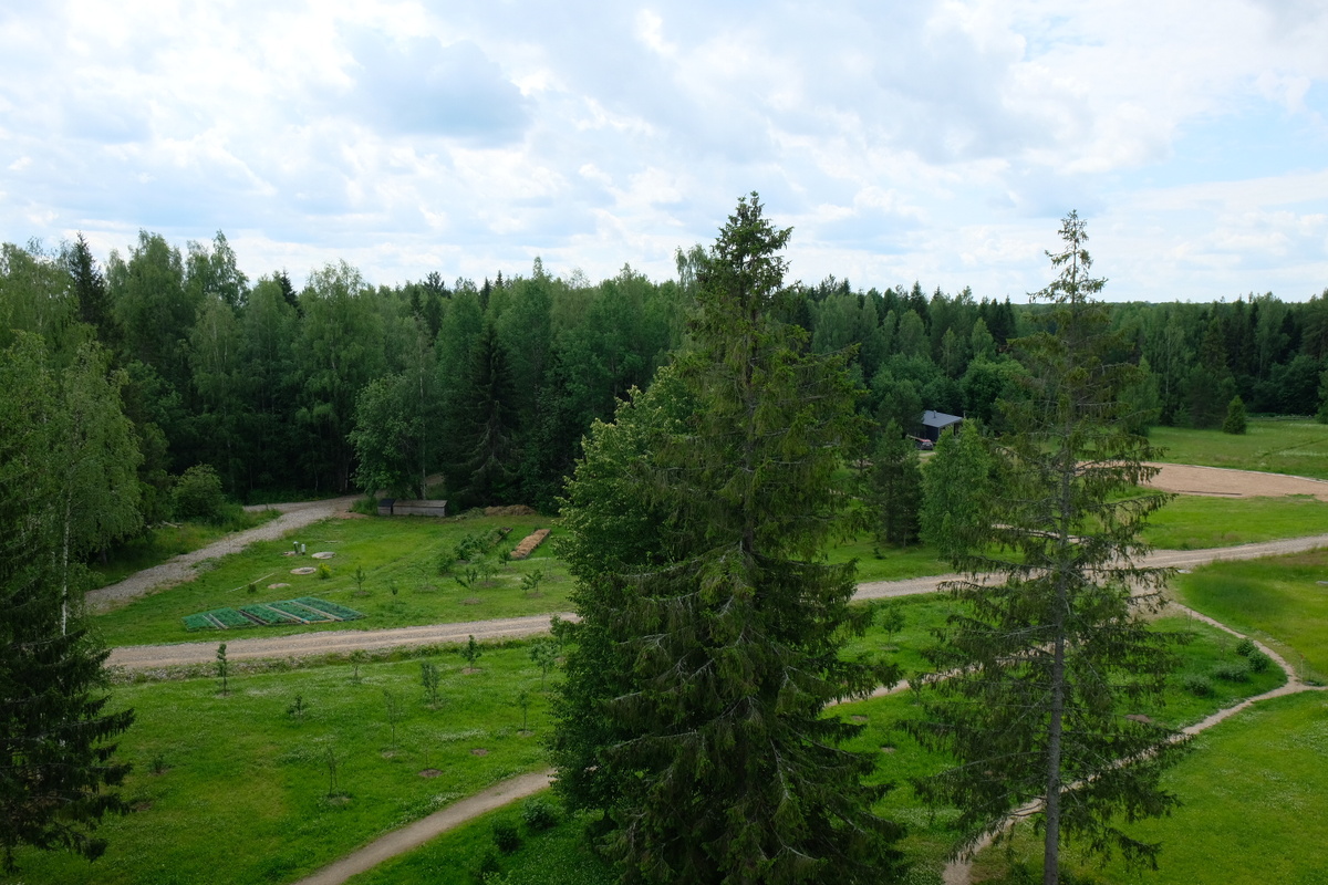 Это фото сделано сверху. Да, мы забирались на саму башенку)
