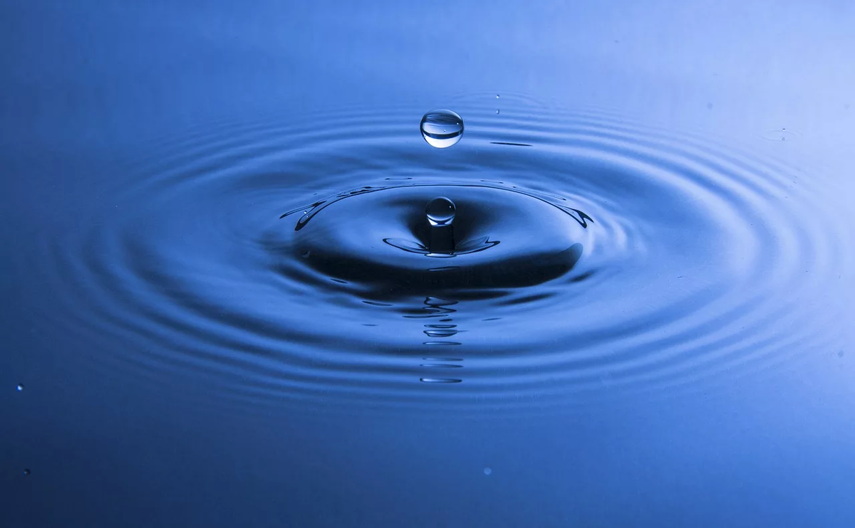 Капли наглядно демонстрируют воздействие сил поверхностного натяжения на жидкость. Источник: Яндекс.Картинки