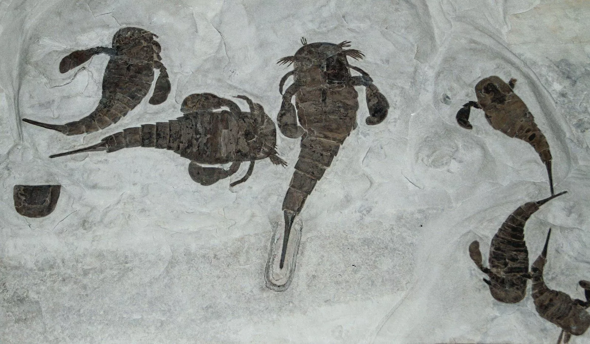 Когда решили сделать с пацанами групповую фотку, но она оказалась последней.