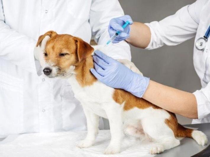 Взято из открытых источников