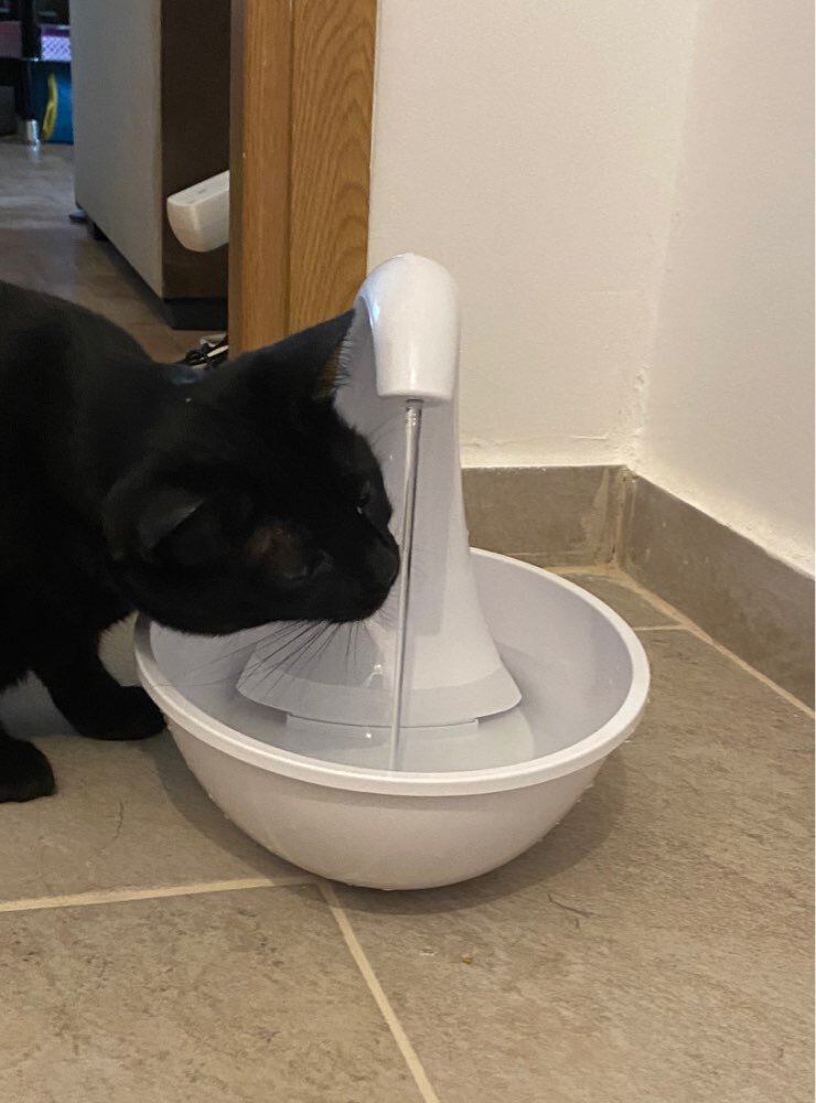 Поилка для животных с циркуляцией и фильтрацией