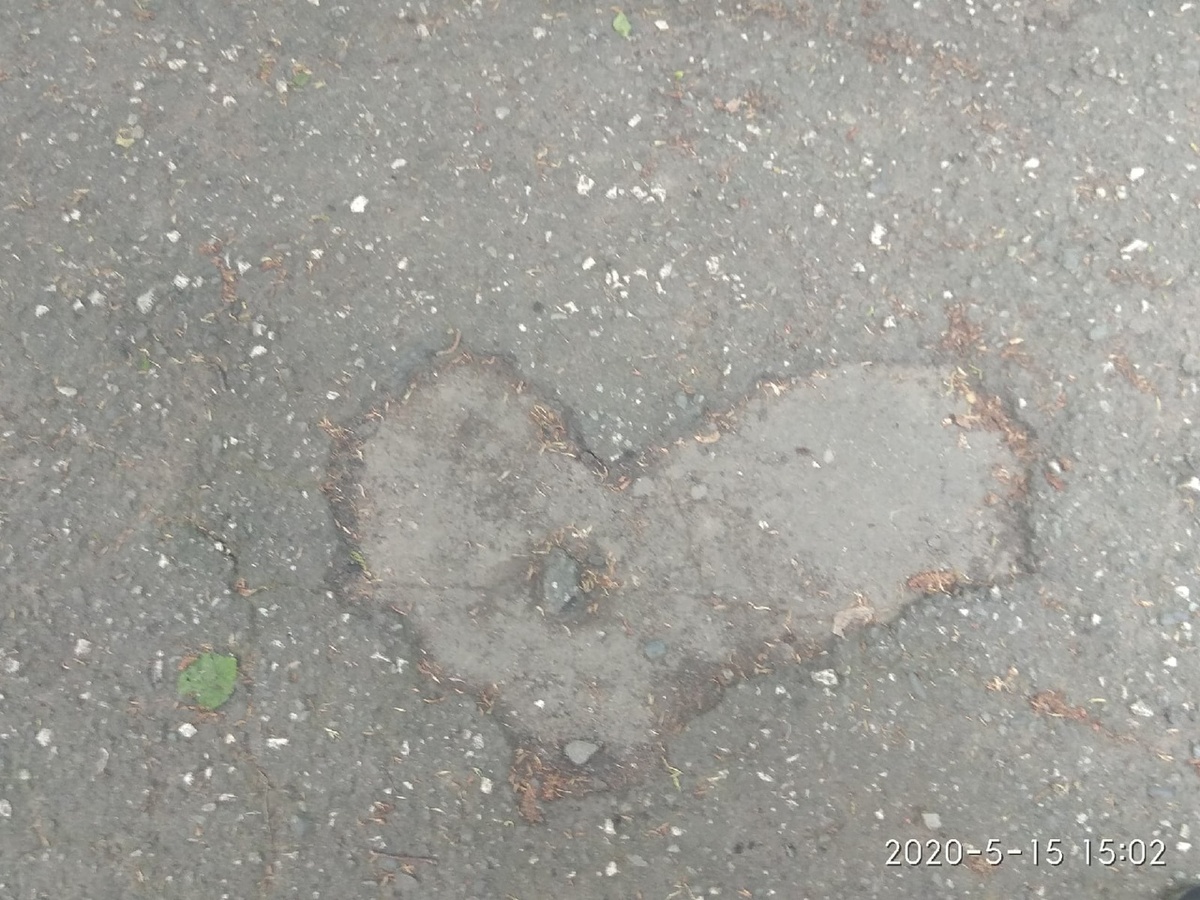 Проявление, может быть, самого нежного и прекрасного...