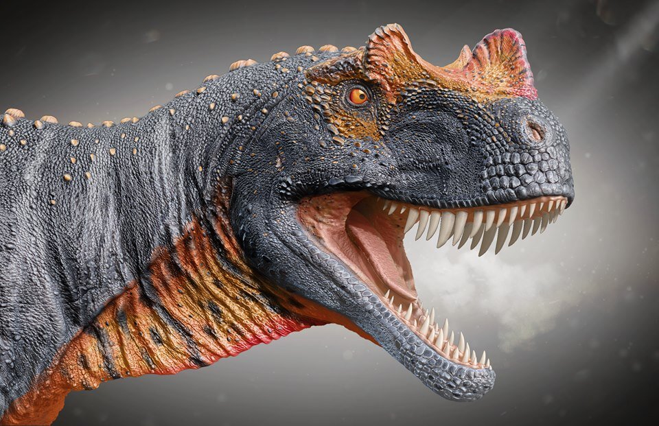 Реконструкция крупным планом. Рог и гребни над глазами, вероятно, имеют более яркий окрас, чем окрас тела.