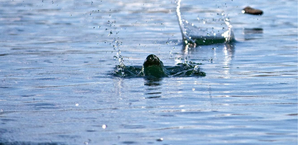Козьма прутков бросая камни в воду. Бросание камней в воду. Камень брошенный в воду. Бросают человека в воду. Камушки по воде.