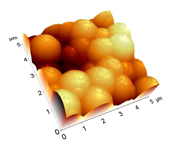 Рис. 2. Трехмерное изображение полимерного покрытия, нанесенного на золотую подложку (размер изображения 5 × 5 мкм).