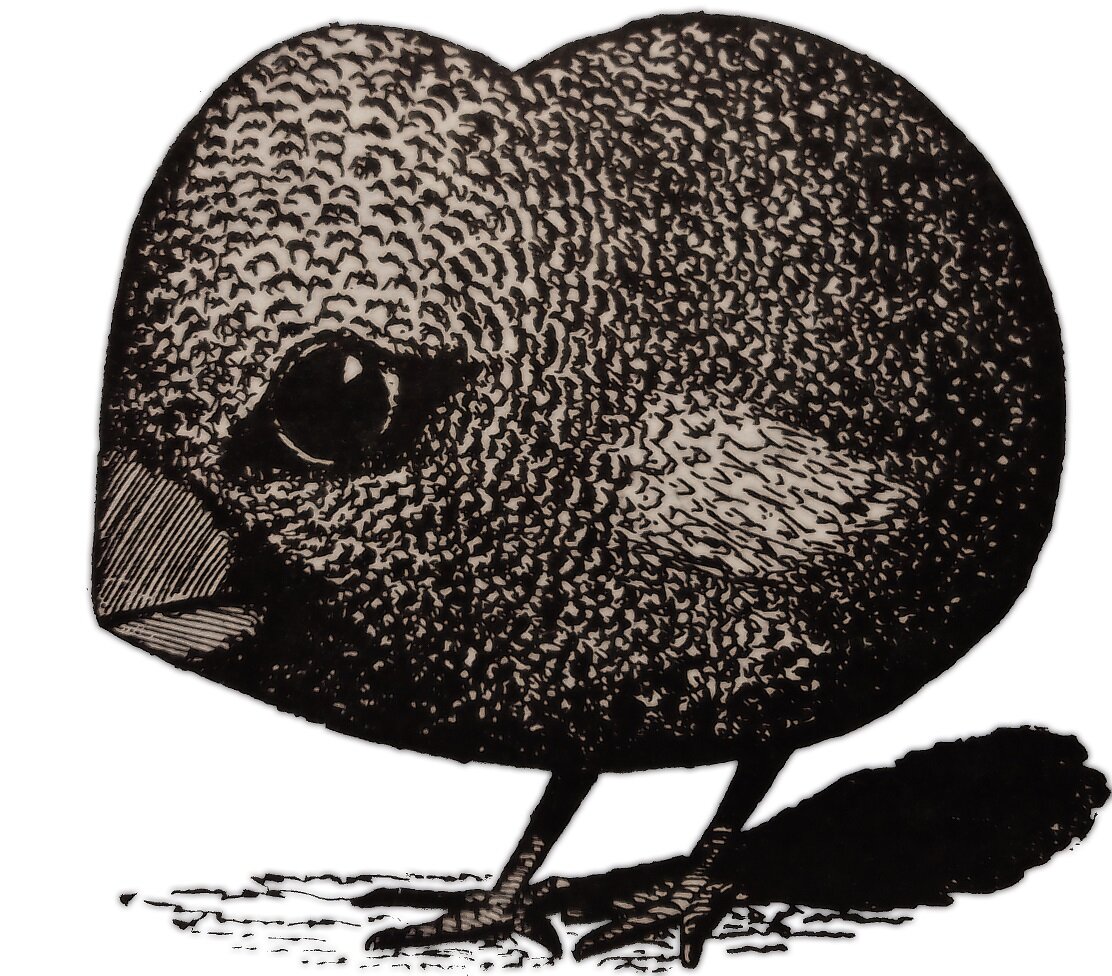 Странный птенец. Автор "Тайник"  