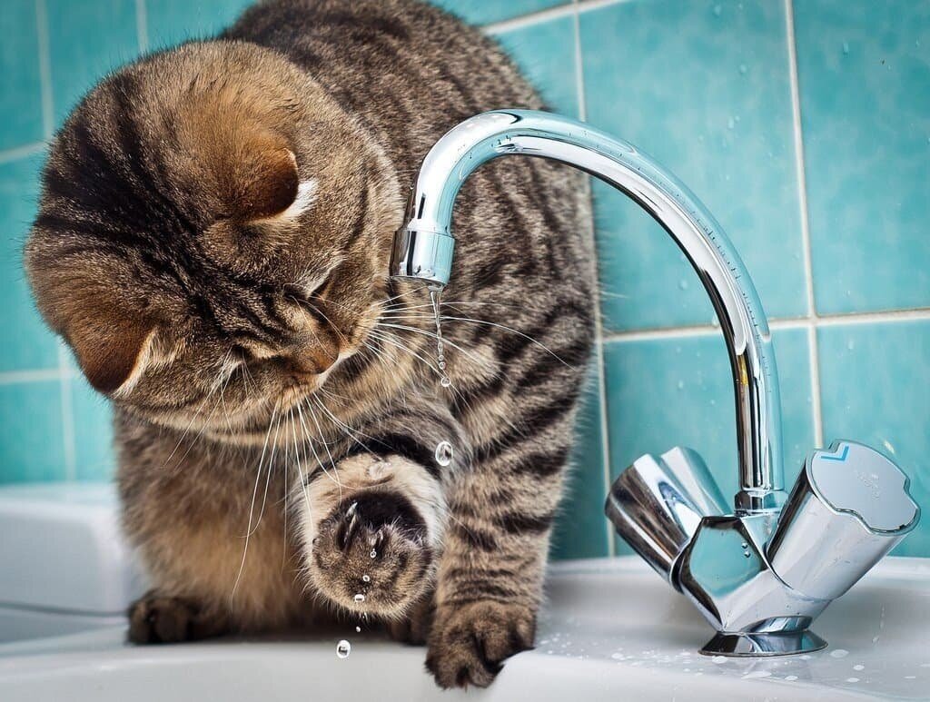 "И где опять вода?!". Фото proufu.ru.