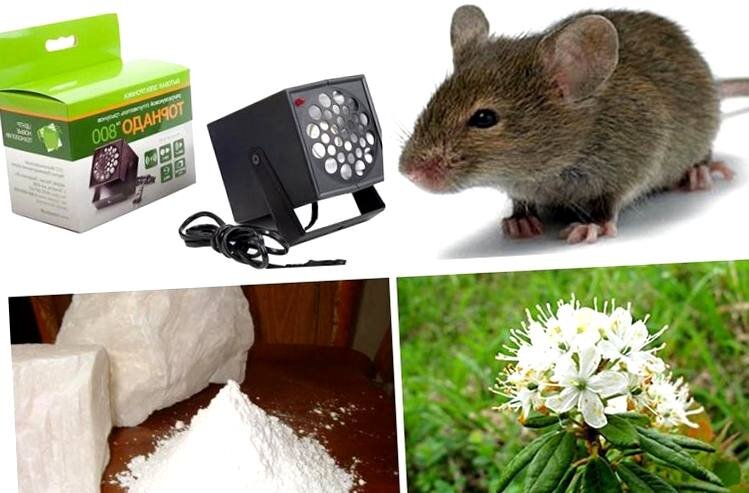 Взято из открытых источников