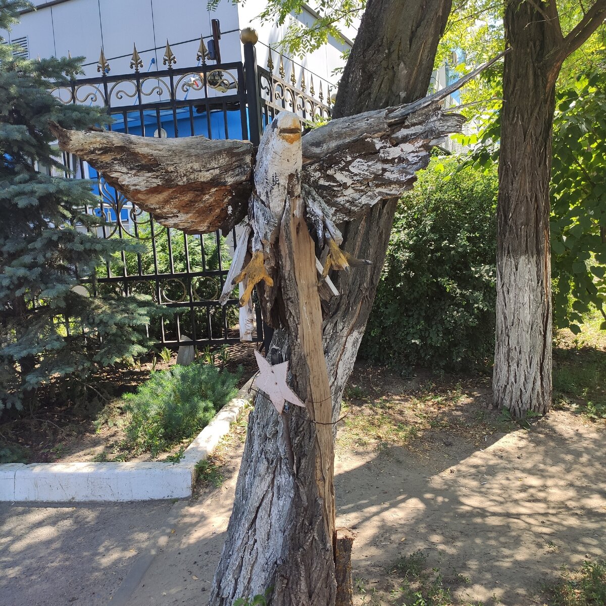 Это и все остальные фото в данной статье сделаны автором канала "Играй со мной"