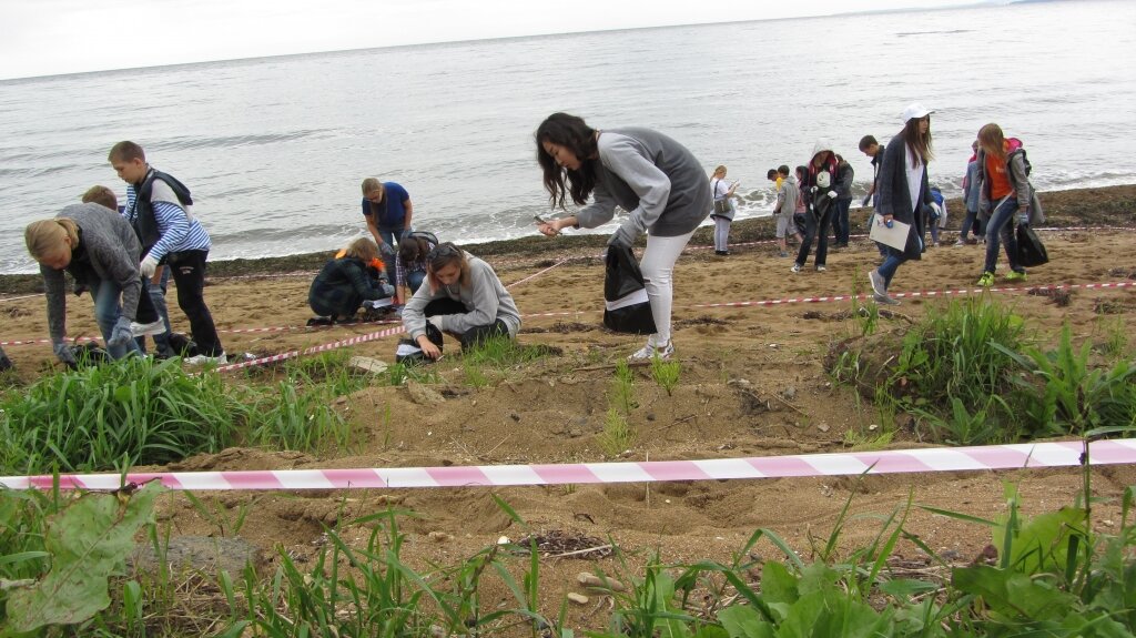 Региональные проблемы экологии. Экология приморского края. Загрязнение приморского края. Экология приморского края презентация. Экология приморского края.