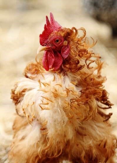 источник:yandex.ru